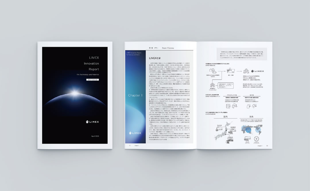 LIMEX Innovation Report